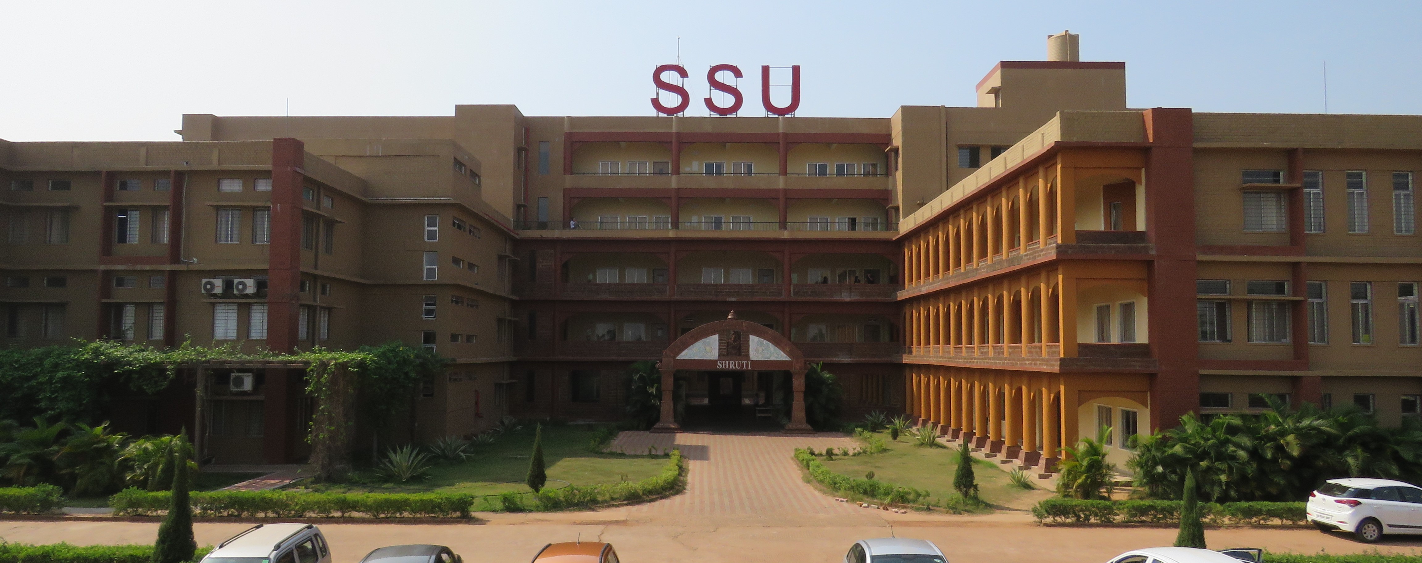 Sri Sri University